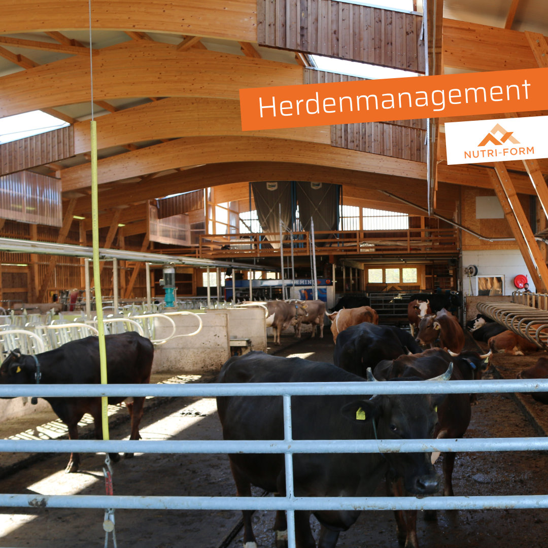 Herdenmanagement