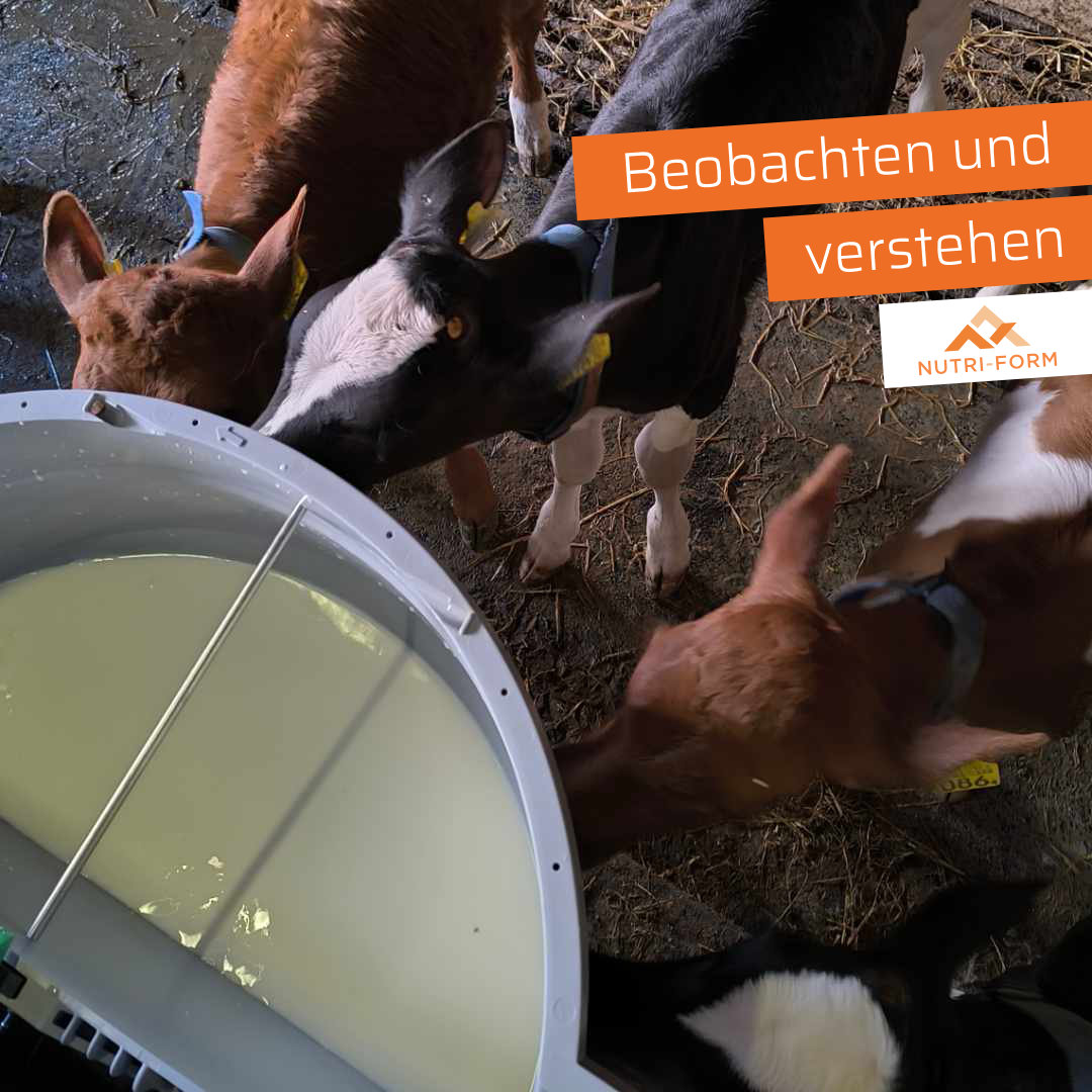 Schnelles Handeln durch Beobachtung