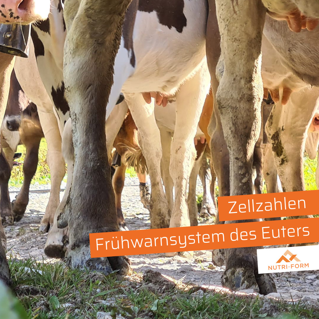 Zellzahlen – das Frühwarnsystem des Euters