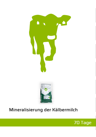Kälber Krankheiten