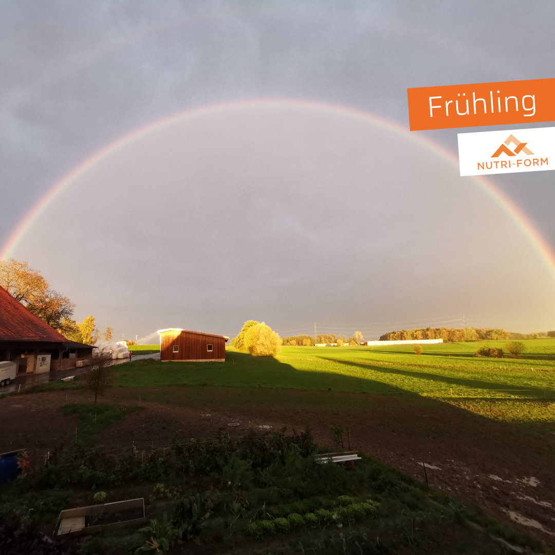 Frühling