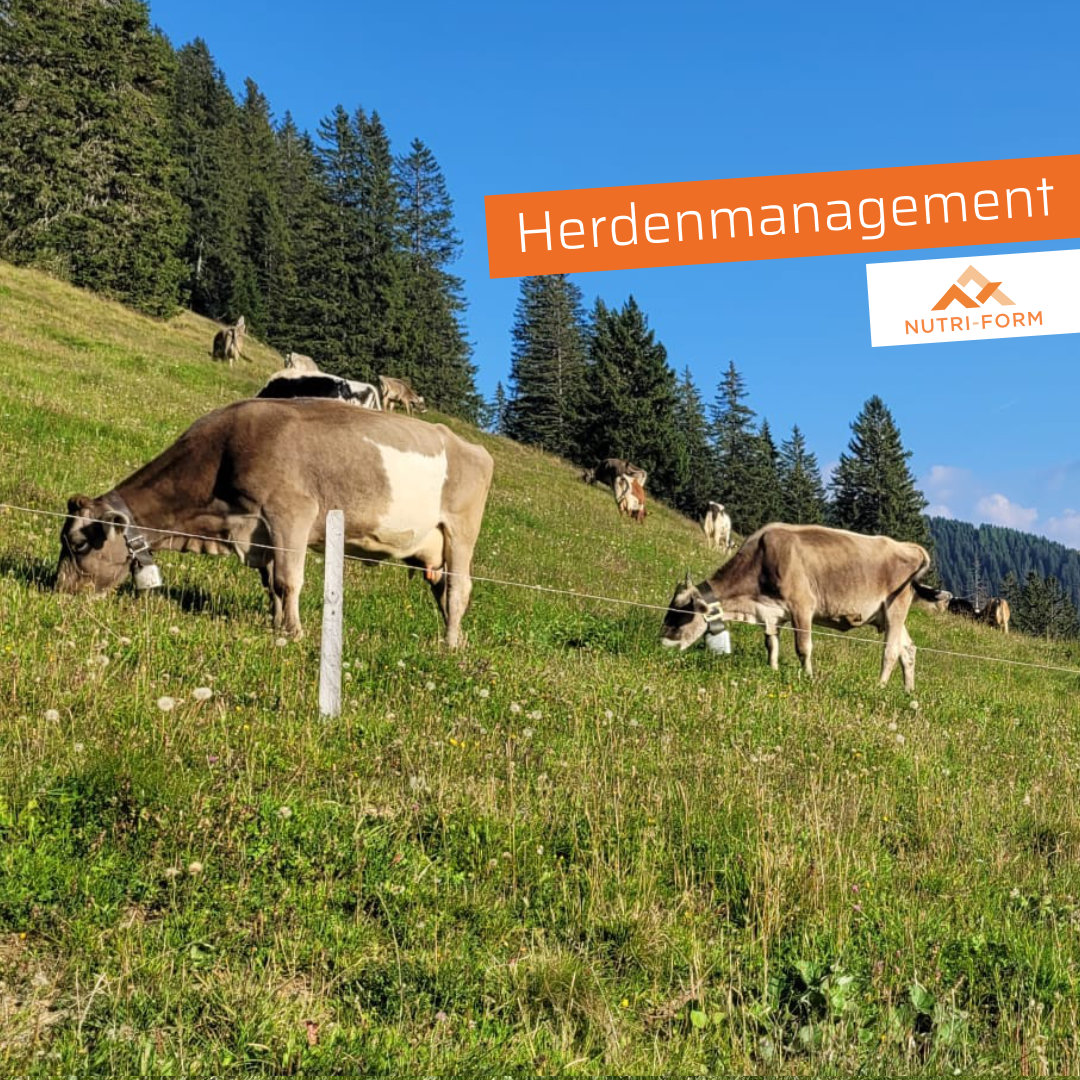 Herdenmanagement