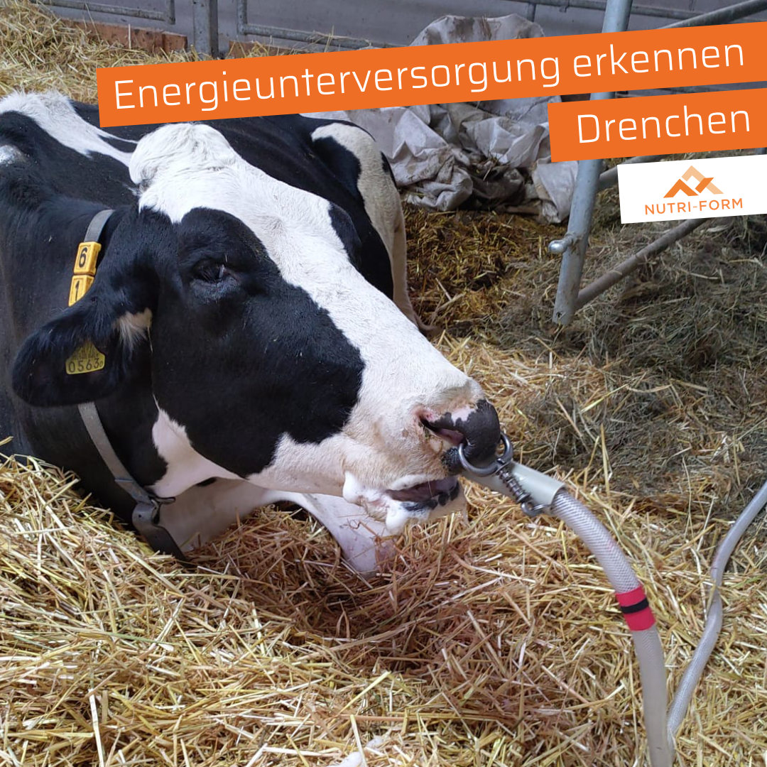 Energieunterversorgung erkennen - Drenchen