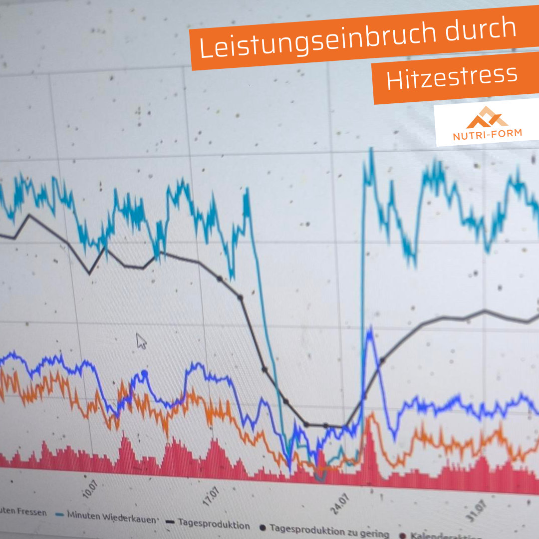 Leistungseinbruch durch Hitzestress
