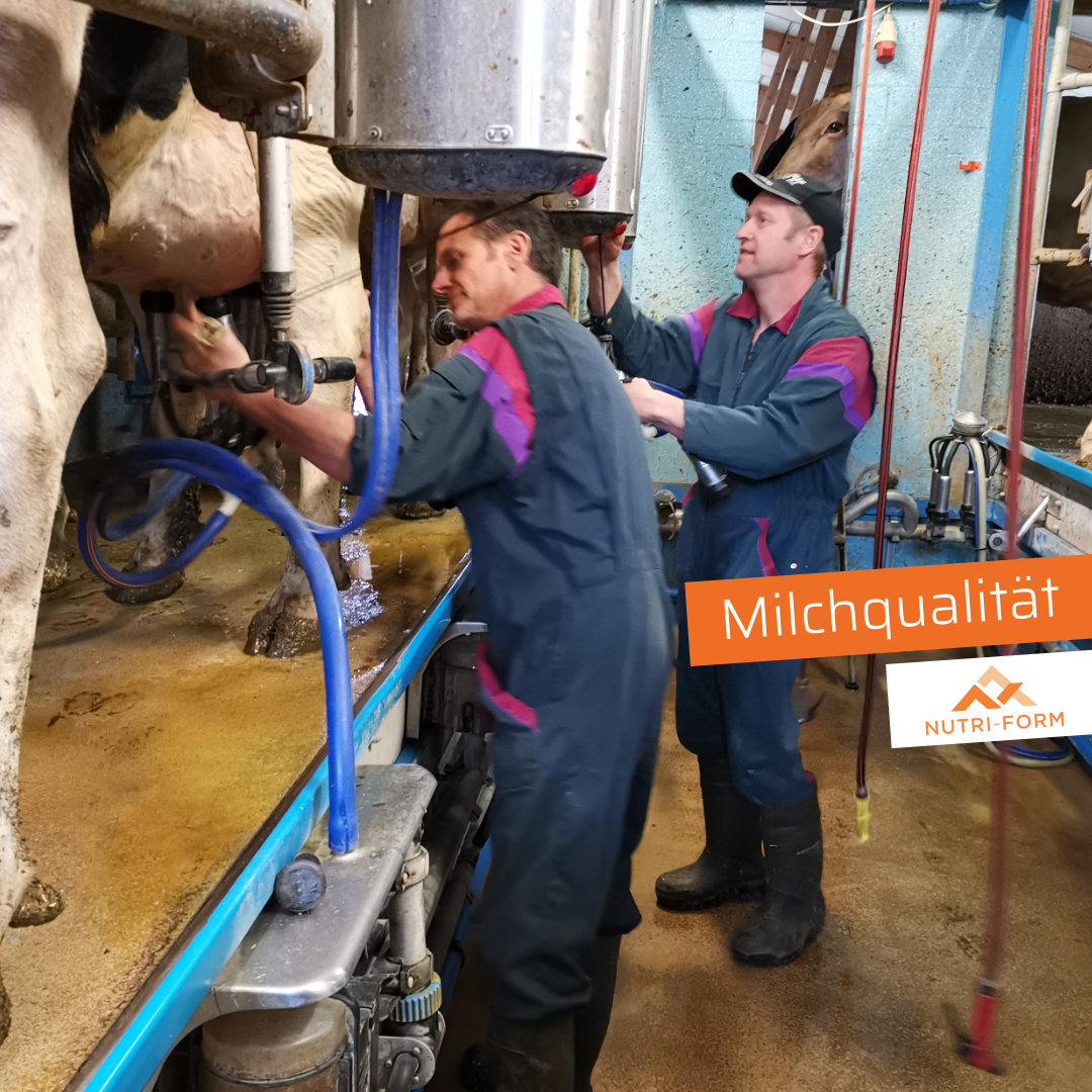 Milchqualität – mehr als nur ein Wert