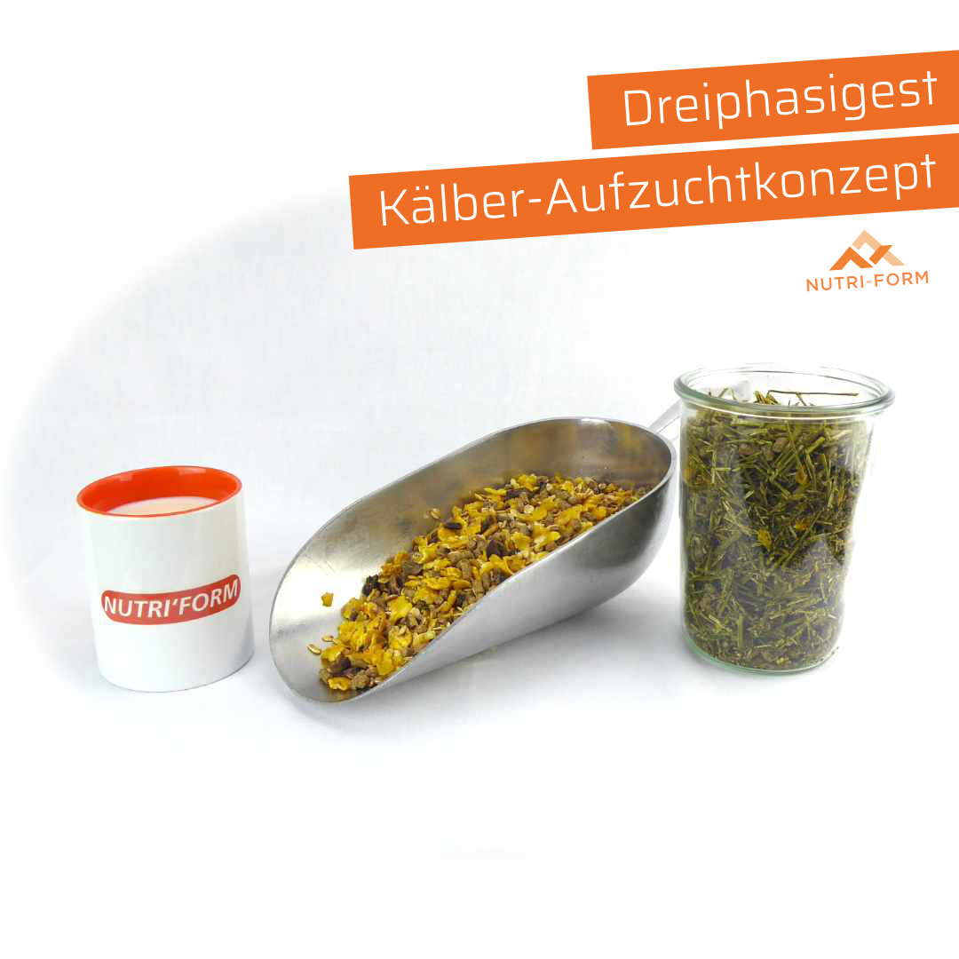 Das dreiphasige Aufzuchtkonzept von Nutri-Form