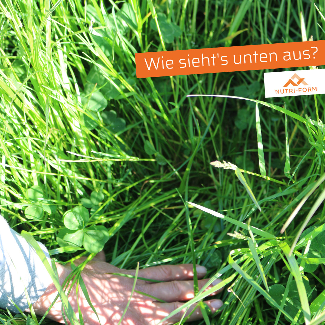 Untergrass