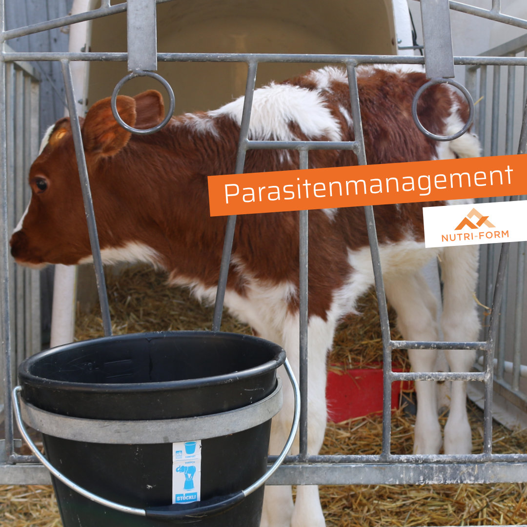 Parasitenmanagement