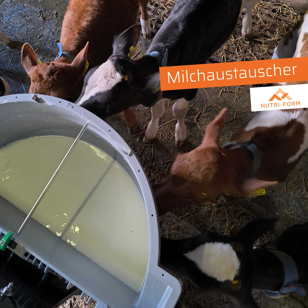 Milchaustauscher