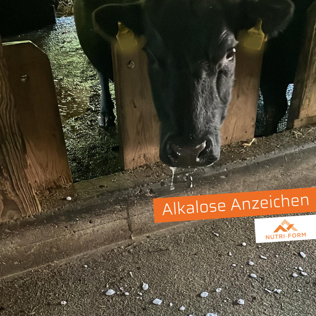 Typische Symptome einer Alkalose