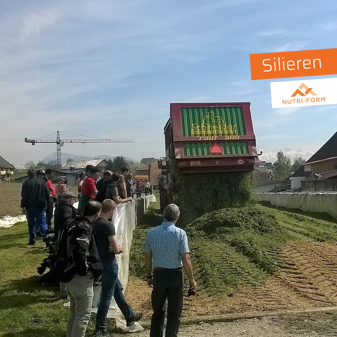 Silieren