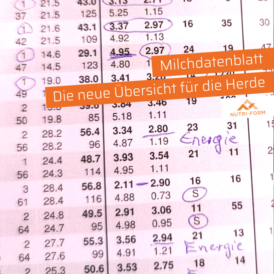 Milchdatenblatt – Die neue Übersicht für die Herde