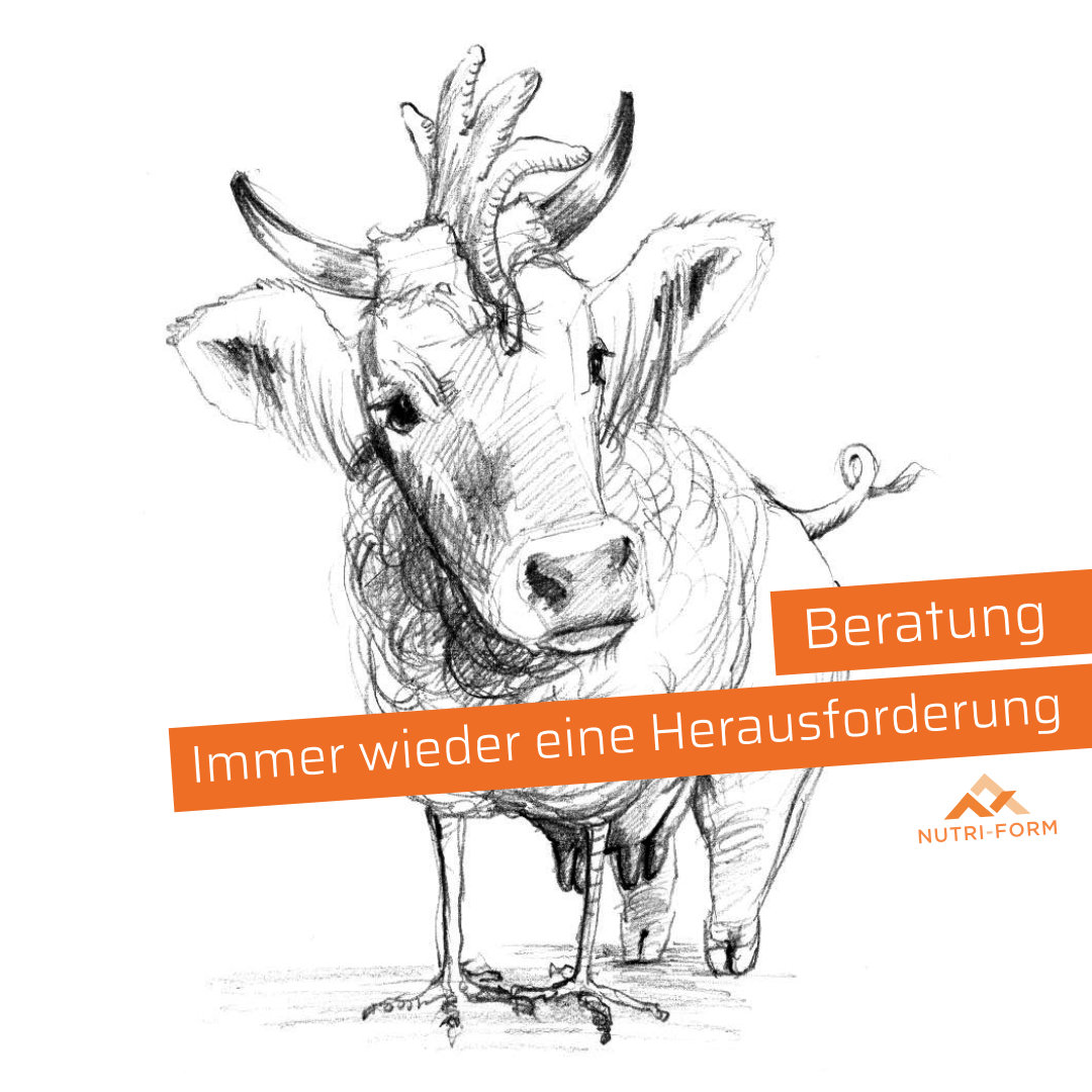 Beratung - Immer eine Herausforderung die richtige Lösung zu finden