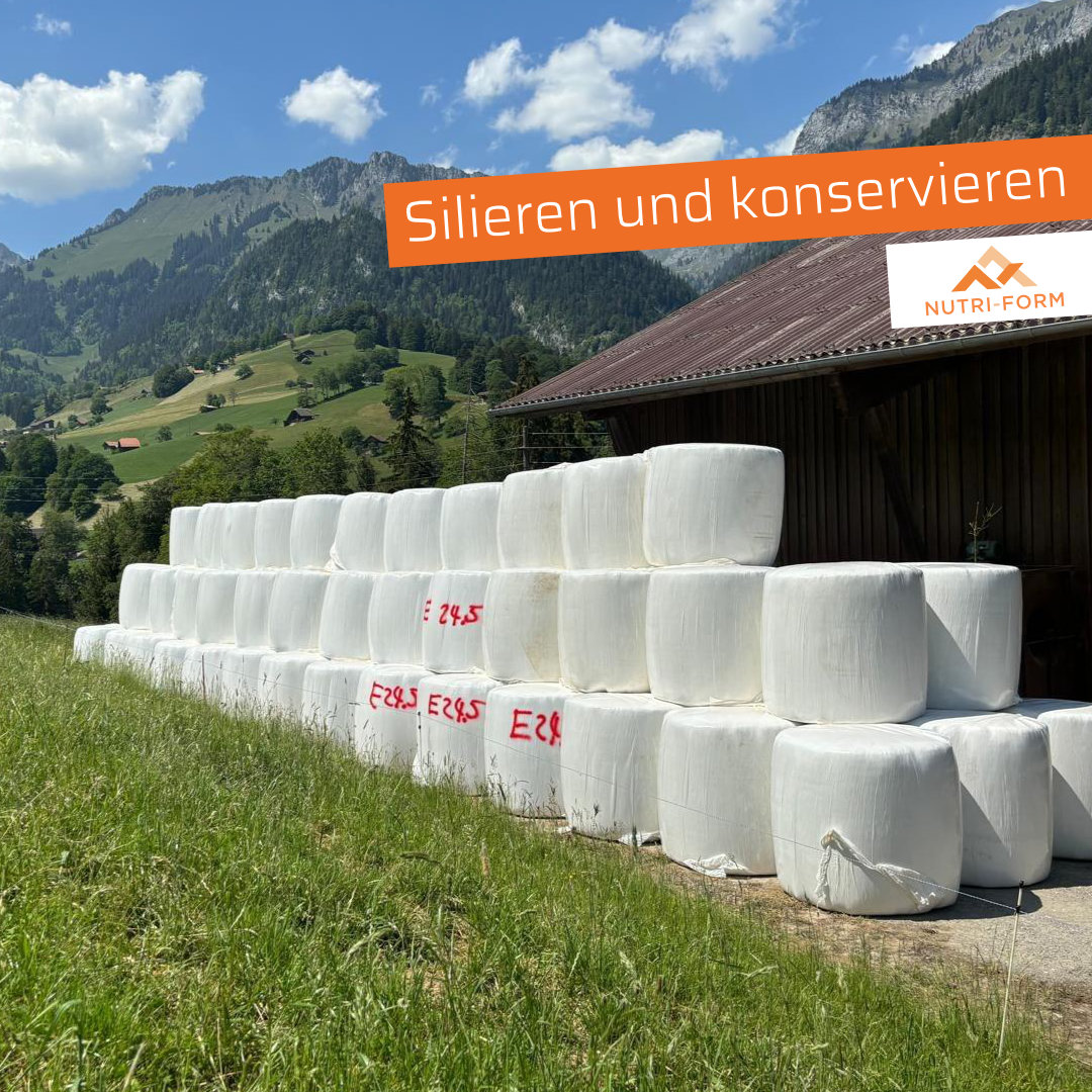 Silieren und konservieren
