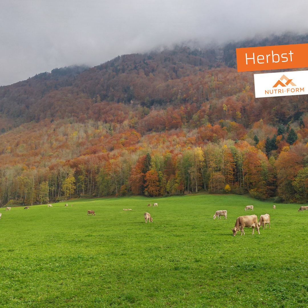 Herbst