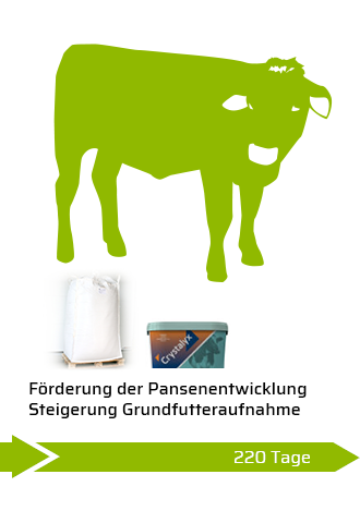 Kälberaufzucht - Entwöhnungsphase und Alleinfutter (70 - 220 Tage)