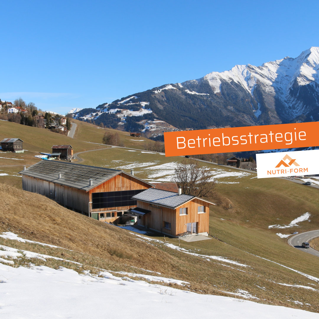 Betriebsstrategie