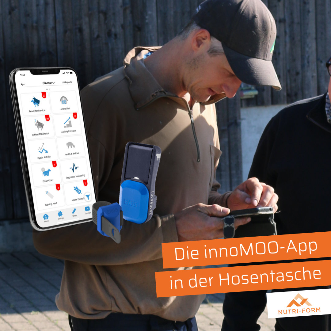 Die innoMOO‑App