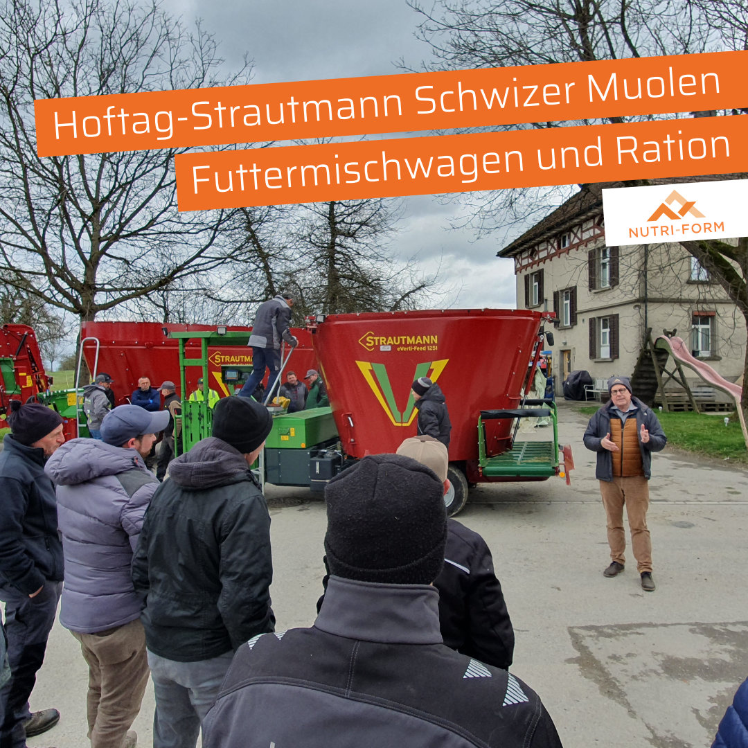 2026-03-26 - Hoftag-Strautmann Schwizer Muolen - Vortrag Mischwagen