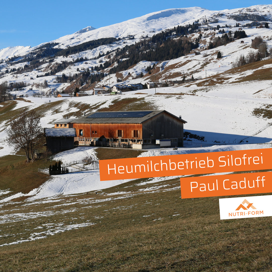 Heumilchbetrieb Silofrei Paul Caduff