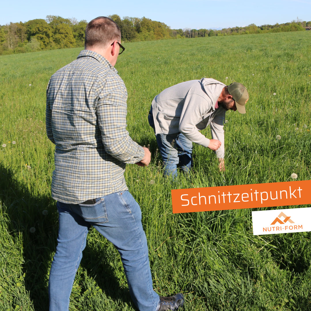Schnittzeitpunkt bestimmen