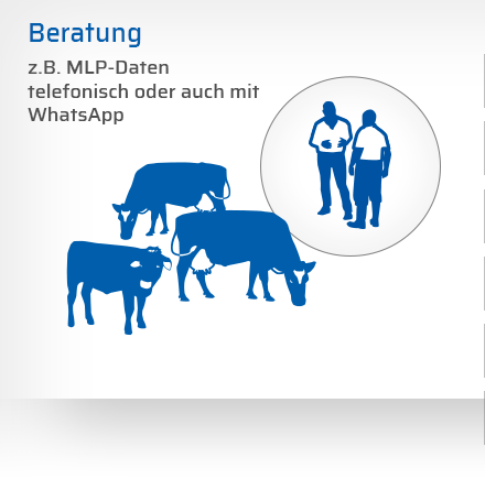 Herdenmanagement