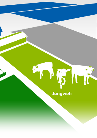 Jungvieh Produkte